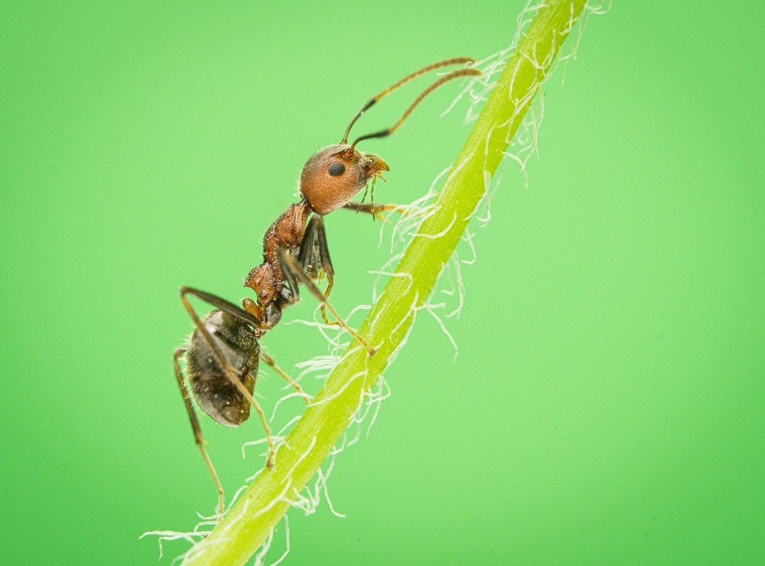 Body Nutrition Guide Twspoonfitness