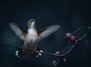 How Homorzopia Spreads