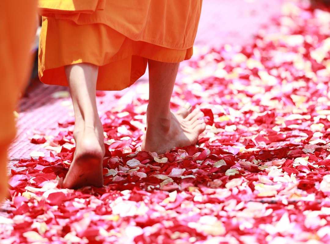 meditation techniques beginners