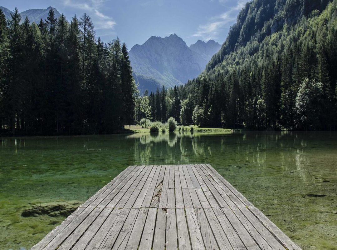 Finding the Best Rates: Banks vs. Online Services vs. Cash