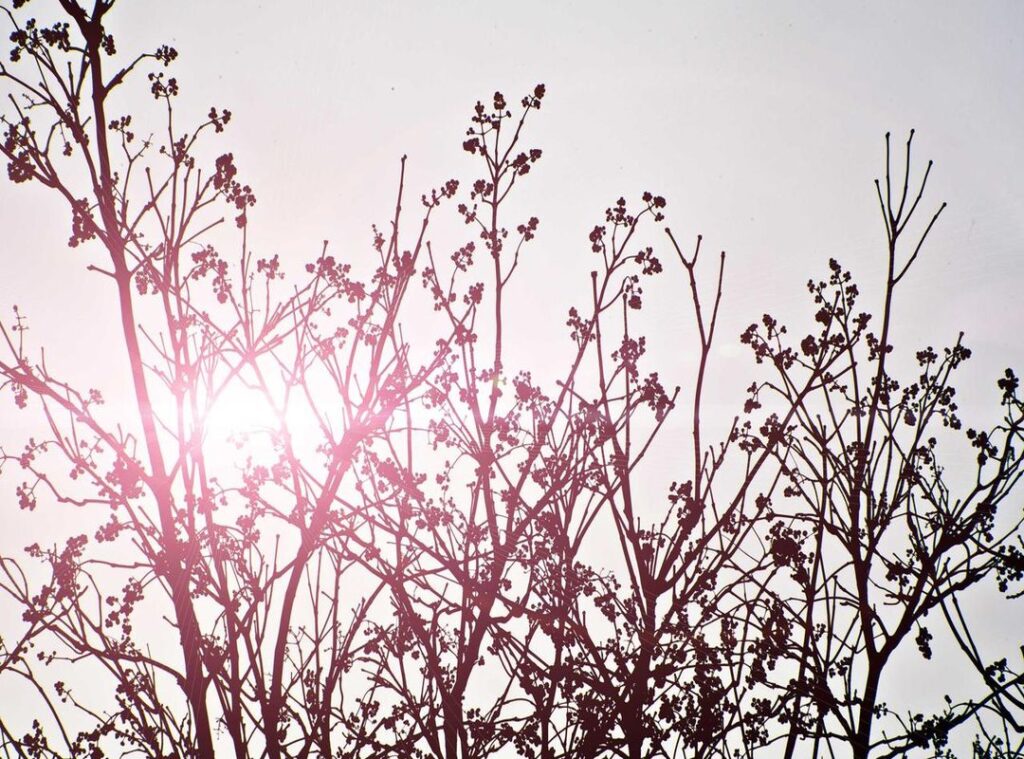 chelsea - liverpool fc tijdlijn
