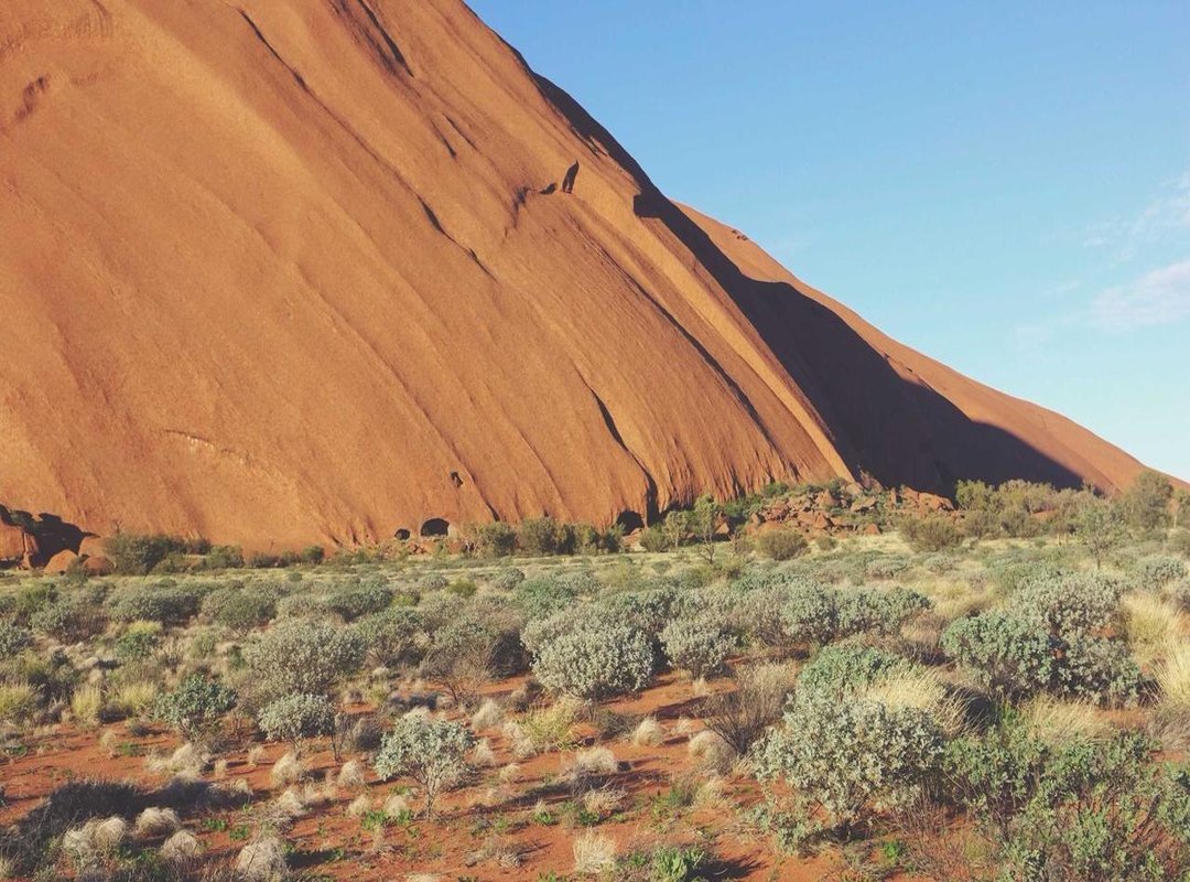 From TV Gag to Viral Sensation: The Anatomy of a Perfect Meme