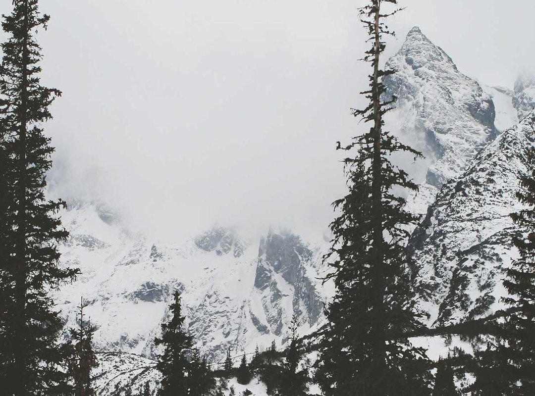 Get the Look: A Guide to Finding the Right High-Cut Style