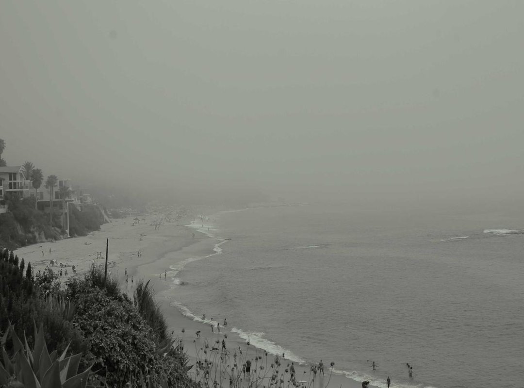 Exploring the Library: Top Genres and Content