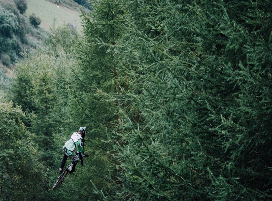 Beyond the Words: What the Lyrics Truly Mean