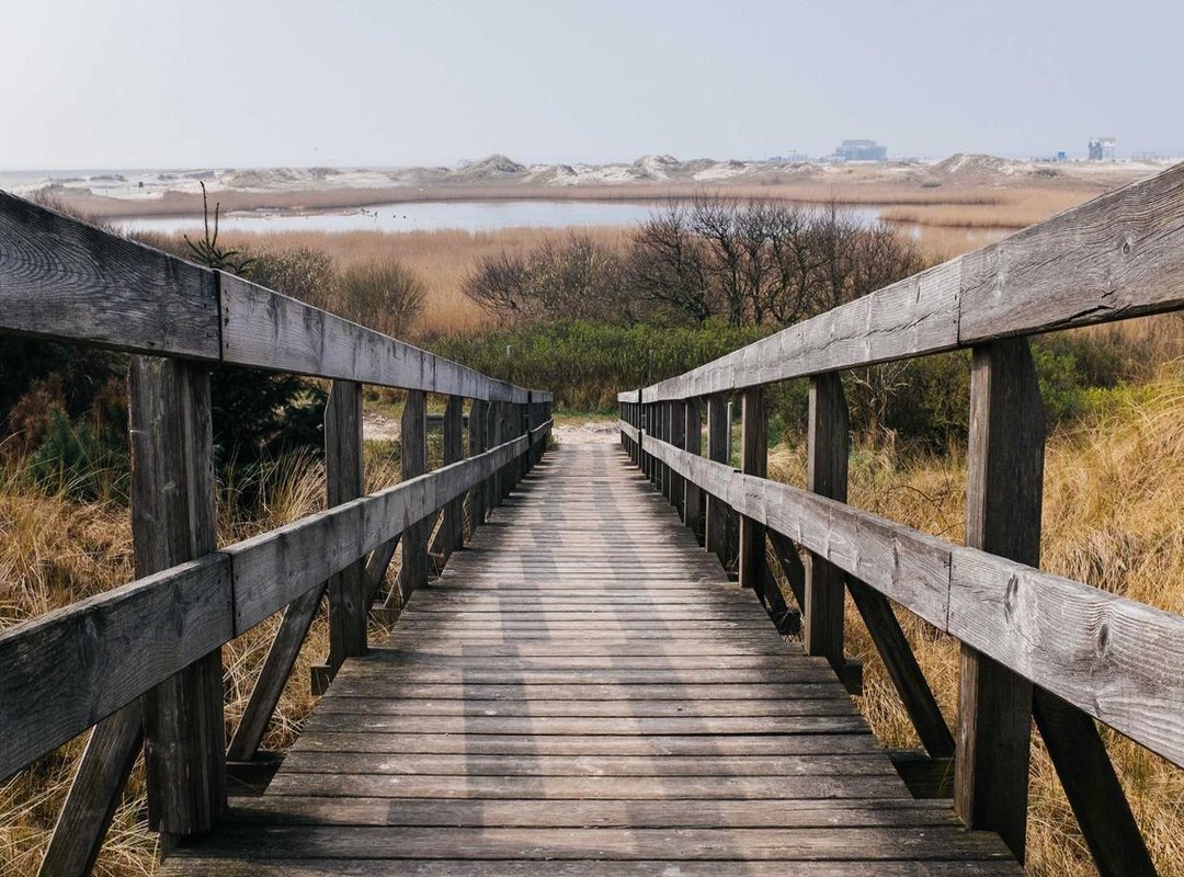 Step 2: The Best Ways to Plot Your Matrix Data